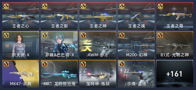 穿越火线：枪战王者V5 5王者 205英雄武器 2英雄角色 375万化 专家S