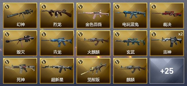 穿越火线（CF）44V武器 2V角色 12皮肤 可排位 枪王