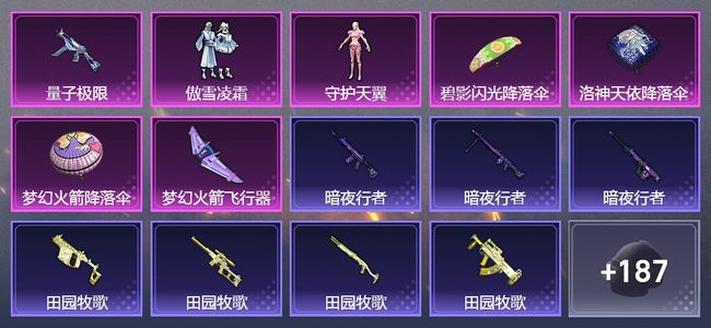 和平精英3升级枪 2粉装 3飞行器 124套装 50379热力 14印记