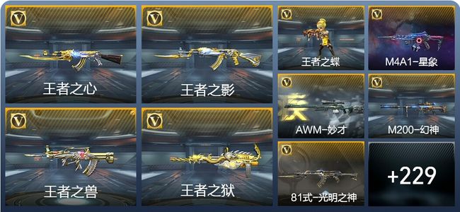 穿越火线：枪战王者V7 12王者武器 238英雄武器 6英雄角色 512万化 大师