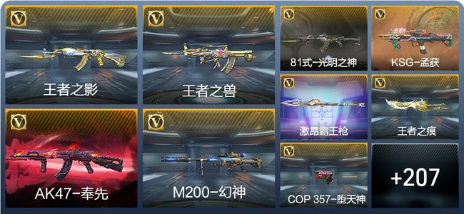 穿越火线：枪战王者V6 5王者武器 216英雄武器 10英雄角色 359万化 枪皇SS