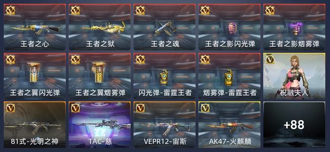 穿越火线：枪战王者9王者 101英雄武器 1英雄角色 263万化 专家S