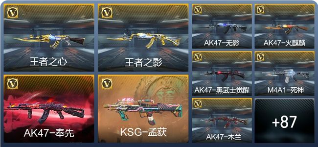 穿越火线：枪战王者V5 3王者武器 103英雄武器 2英雄角色 162万化 专家