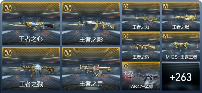 穿越火线：枪战王者V8 22王者武器 302英雄武器 5英雄角色 575万化 枪王