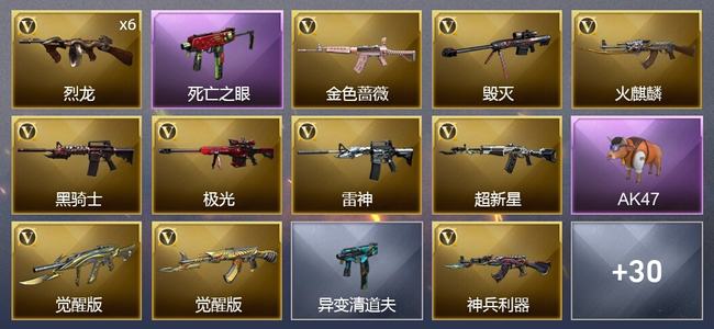 穿越火线（CF）35V武器 8皮肤 可排位 大师