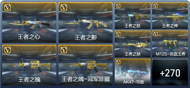 穿越火线：枪战王者V10 26王者武器 285英雄武器 12英雄角色 658万化 专家S