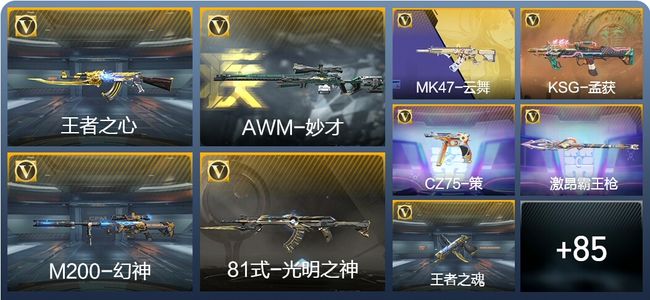 穿越火线：枪战王者V3 3王者武器 101英雄武器 3英雄角色 243万化 专家S