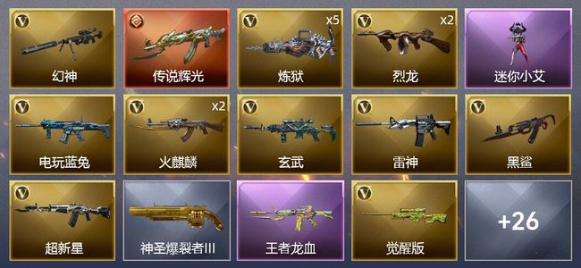 穿越火线（CF）1传说武器 2王者武器 2炫金武器 30V武器 1V角色 9皮肤 可排位 专家