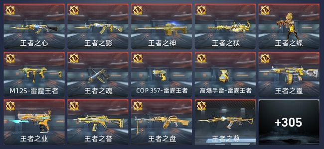 穿越火线：枪战王者V8 16王者 307英雄武器 12英雄角色 494万化 传奇