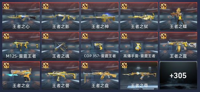 穿越火线：枪战王者16王者 307英雄武器 12英雄角色 494万化 新锐
