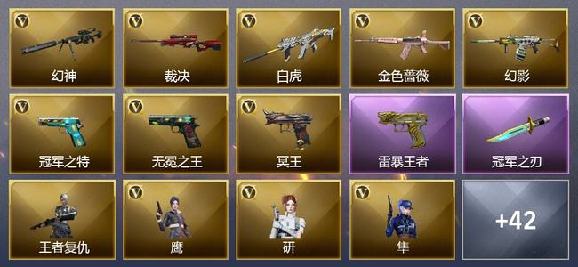 穿越火线（CF）8王者武器 41V武器 3V角色 19皮肤 可排位 宗师