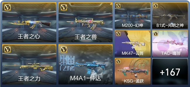 穿越火线：枪战王者V5 6王者武器 176英雄武器 6英雄角色 258万化 专家S