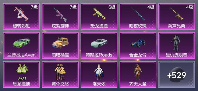 和平精英4载具 5升级枪 16粉装 4尾迹 296枪皮 248套装 109656热力 10印记 黄金