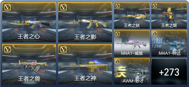 穿越火线：枪战王者V6 18王者武器 282英雄武器 9英雄角色 593万化 大师SS