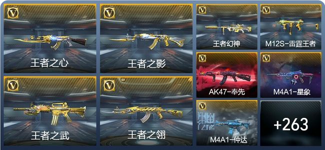 穿越火线：枪战王者36王者武器 272英雄武器 16英雄角色 444万化 专家S