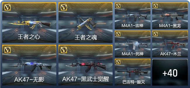 穿越火线：枪战王者2王者武器 49英雄武器 108万化 专家S