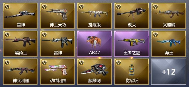 穿越火线（CF）1王者武器 21V武器 8皮肤 可排位 枪王