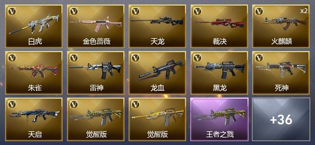 穿越火线（CF）5王者武器 3炫金武器 40V武器 1V角色 23皮肤 可排位