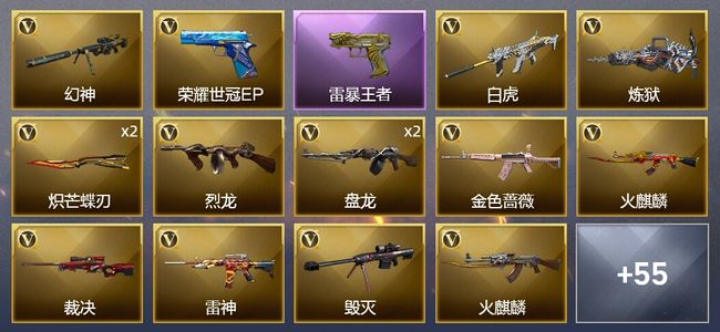 穿越火线（CF）5王者武器 1炫金武器 67V武器 3V角色 13皮肤 可排位 传奇