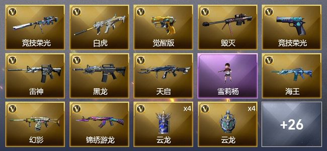 穿越火线（CF）1王者武器 43V武器 1V角色 8皮肤 可排位 传奇