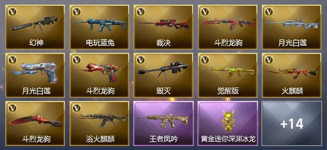 穿越火线（CF）1王者武器 17V武器 8皮肤 可排位 传奇