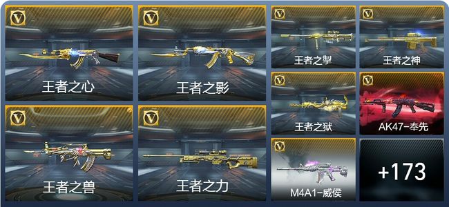 穿越火线：枪战王者V8 15王者武器 192英雄武器 6英雄角色 311万化 专家S