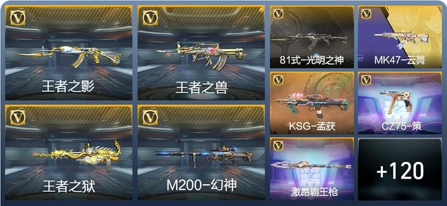 穿越火线：枪战王者15王者武器 139英雄武器 4英雄角色 专家S