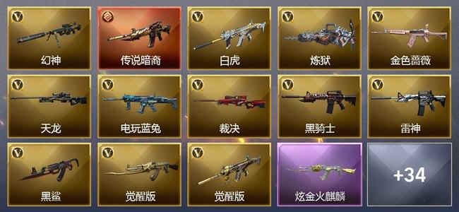 穿越火线（CF）1传说武器 3炫金武器 37V武器 1V角色 13皮肤 可排位 专家