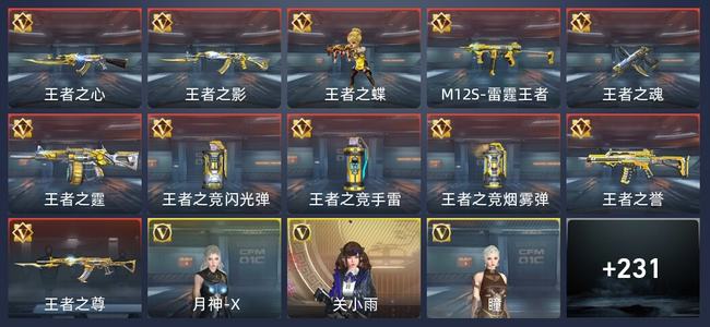 穿越火线：枪战王者V6 11王者 236英雄武器 9英雄角色 314万化 新锐