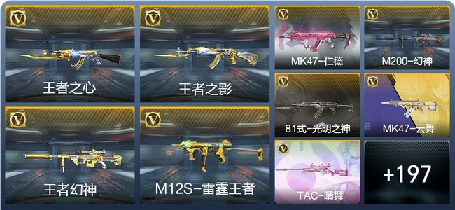 穿越火线：枪战王者18王者武器 206英雄武器 5英雄角色 383万化 专家S