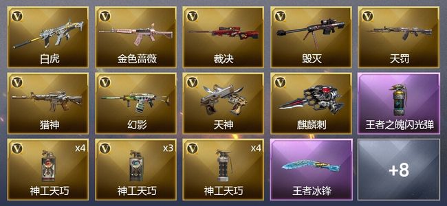 穿越火线（CF）2王者武器 26V武器 2V角色 6皮肤 可排位 枪王