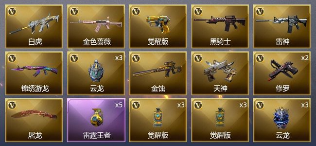 穿越火线（CF）1王者武器 23V武器 5皮肤 可排位 专家