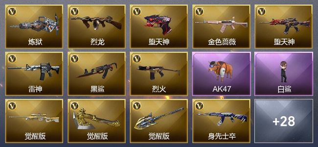 穿越火线（CF）57V武器 1V角色 14皮肤 可排位