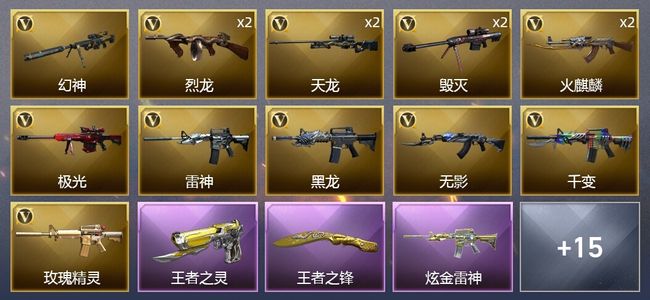 穿越火线（CF）2王者武器 2炫金武器 30V武器 1V角色 19皮肤 可排位 传奇