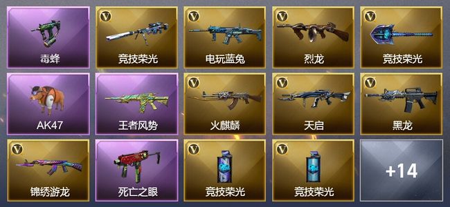 穿越火线（CF）1王者武器 22V武器 1V角色 3皮肤 可排位 新锐