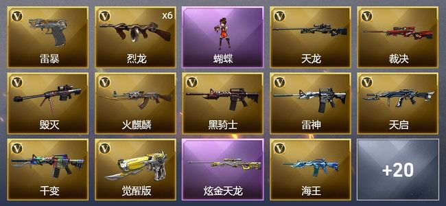 穿越火线（CF）1炫金武器 56V武器 1V角色 12皮肤 可排位 专家