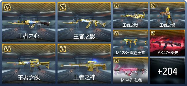 穿越火线：枪战王者V8 15王者武器 235英雄武器 10英雄角色 531万化 枪皇S