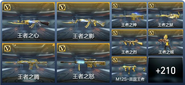 穿越火线：枪战王者V8 28王者武器 219英雄武器 9英雄角色 476万化 枪皇S