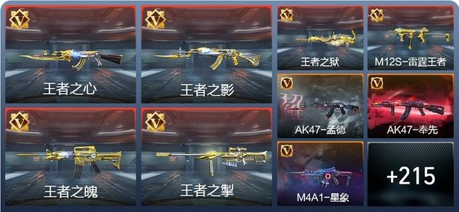 穿越火线：枪战王者V8 炫闪23王者 224英雄武器 5英雄角色 226万化 枪王S