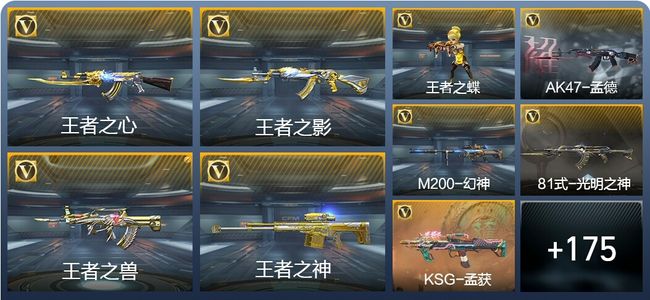 穿越火线：枪战王者V5 22王者武器 184英雄武器 5英雄角色 293万化 枪皇