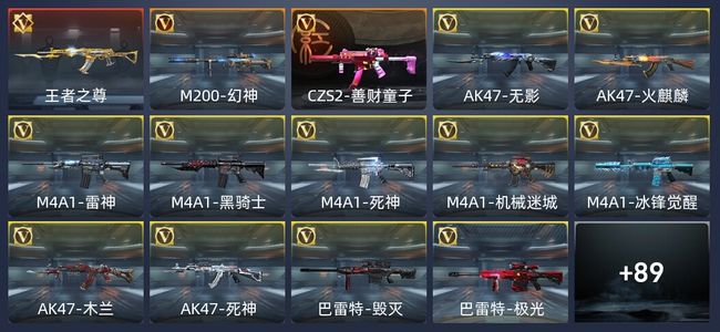 穿越火线：枪战王者1王者 103英雄武器 102万化 精英