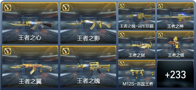 穿越火线：枪战王者V8 16王者武器 242英雄武器 12英雄角色 439万化 枪王SS