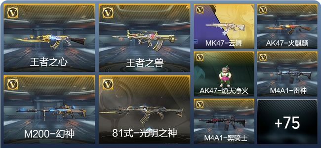 穿越火线：枪战王者V1 4王者武器 93英雄武器 2英雄角色 131万化 枪王S