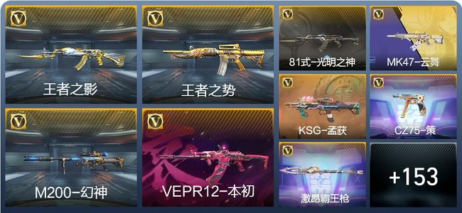 穿越火线：枪战王者20王者武器 162英雄武器 8英雄角色 352万化 专家