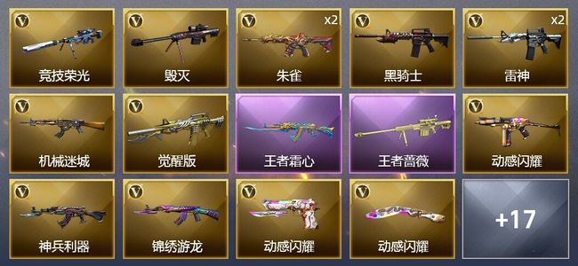 穿越火线（CF）2王者武器 24V武器 9皮肤 可排位 新锐