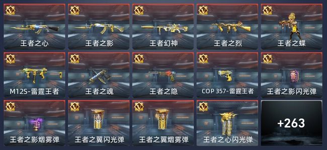穿越火线：枪战王者V8 25王者 268英雄武器 9英雄角色 417万化 专家S