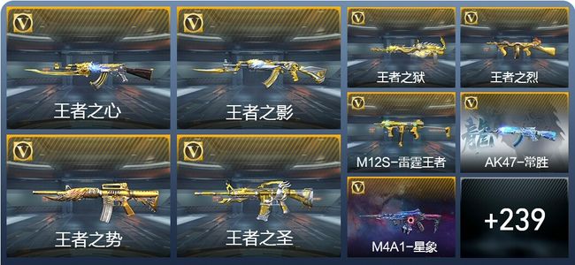 穿越火线：枪战王者V8 18王者武器 249英雄武器 5英雄角色 374万化 枪皇S