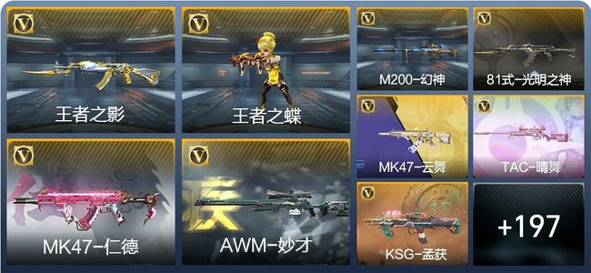 穿越火线：枪战王者4王者武器 206英雄武器 6英雄角色 416万化 专家S