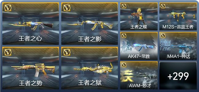 穿越火线：枪战王者23王者武器 308英雄武器 14英雄角色 502万化 专家S