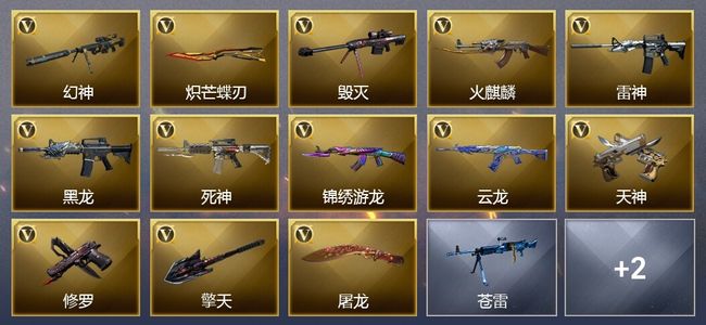 穿越火线（CF）13V武器 1皮肤 可排位 新锐